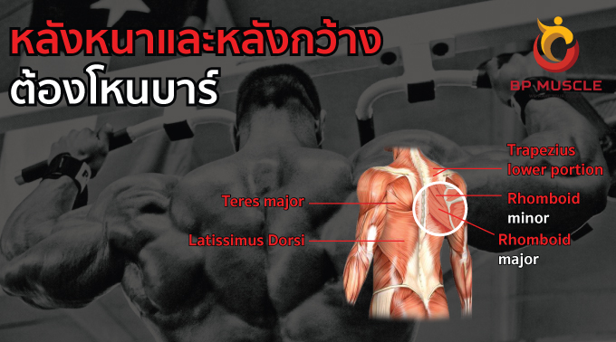 หลังหนา หลังกว้างต้องจัดโหนบาร์	