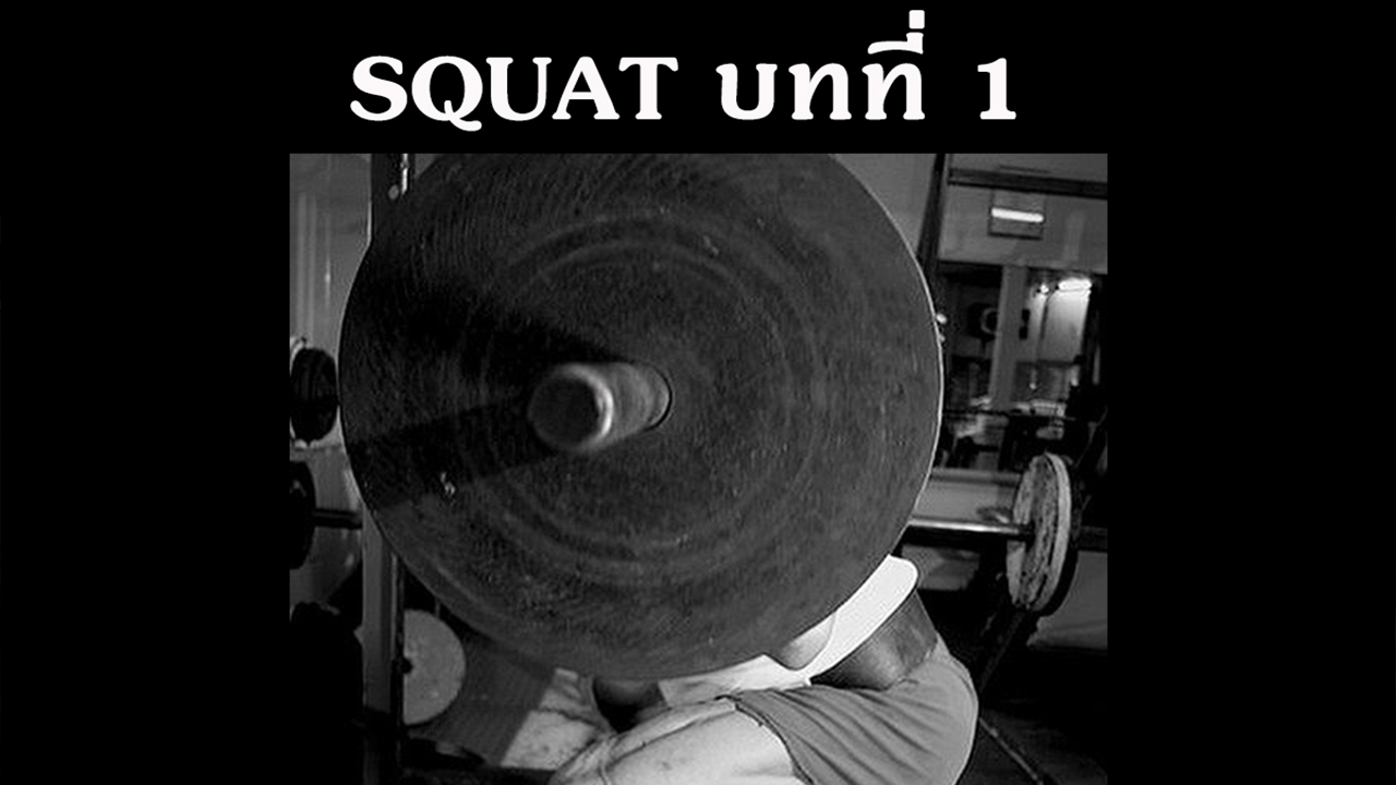 Squat บทที่ 1 : บทนำ