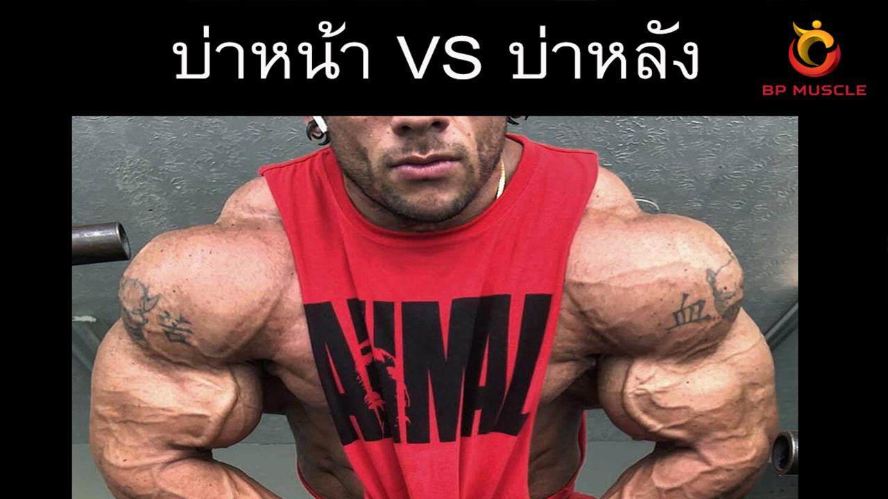 บ่าหน้า VS บ่าหลัง / Front shrugs vs Back shrugs 