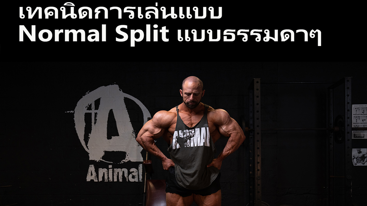 Normal Split แบบธรรมดาๆ