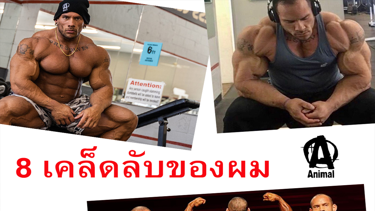 8 เคล็ดลับของผม Shaw Smith IFBB PRO นักกีฬาAnimal 