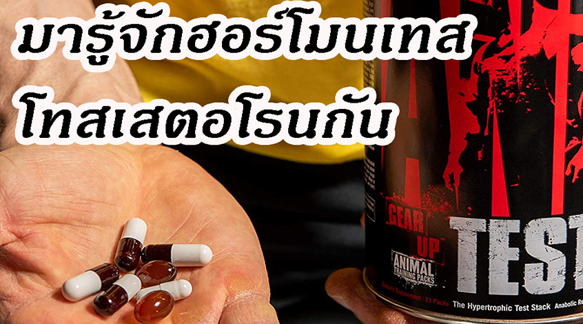 ฮอร์โมนเทสโทสเตอโรน (Testosterone) ดีอย่างไร